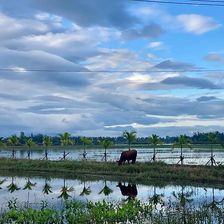 Rice River Villa - Hoi An Zewnętrze zdjęcie